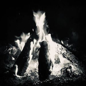 Meet your Posher, Jodi